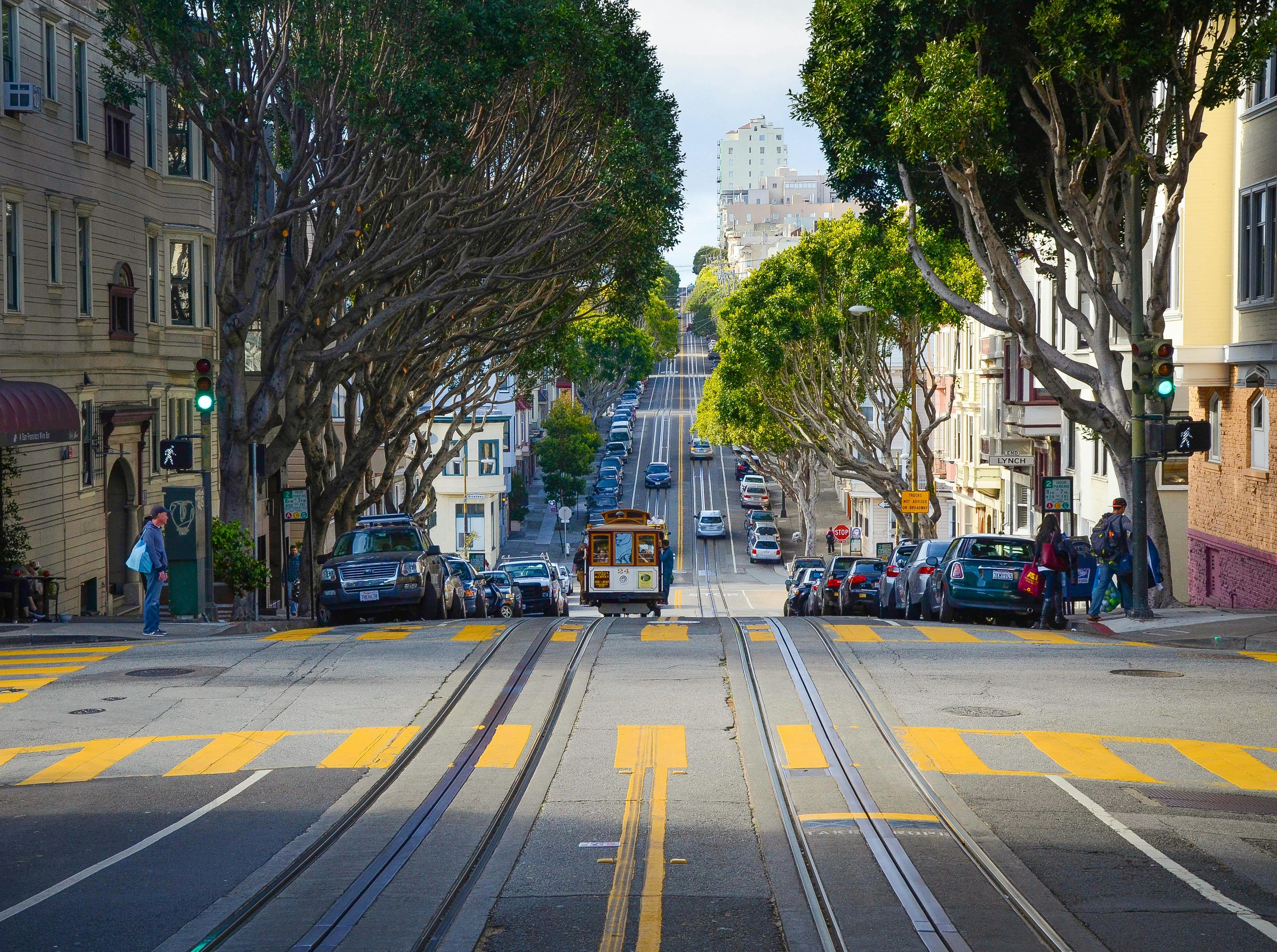 An image of a San Francisco street with trees, cars, and a tram